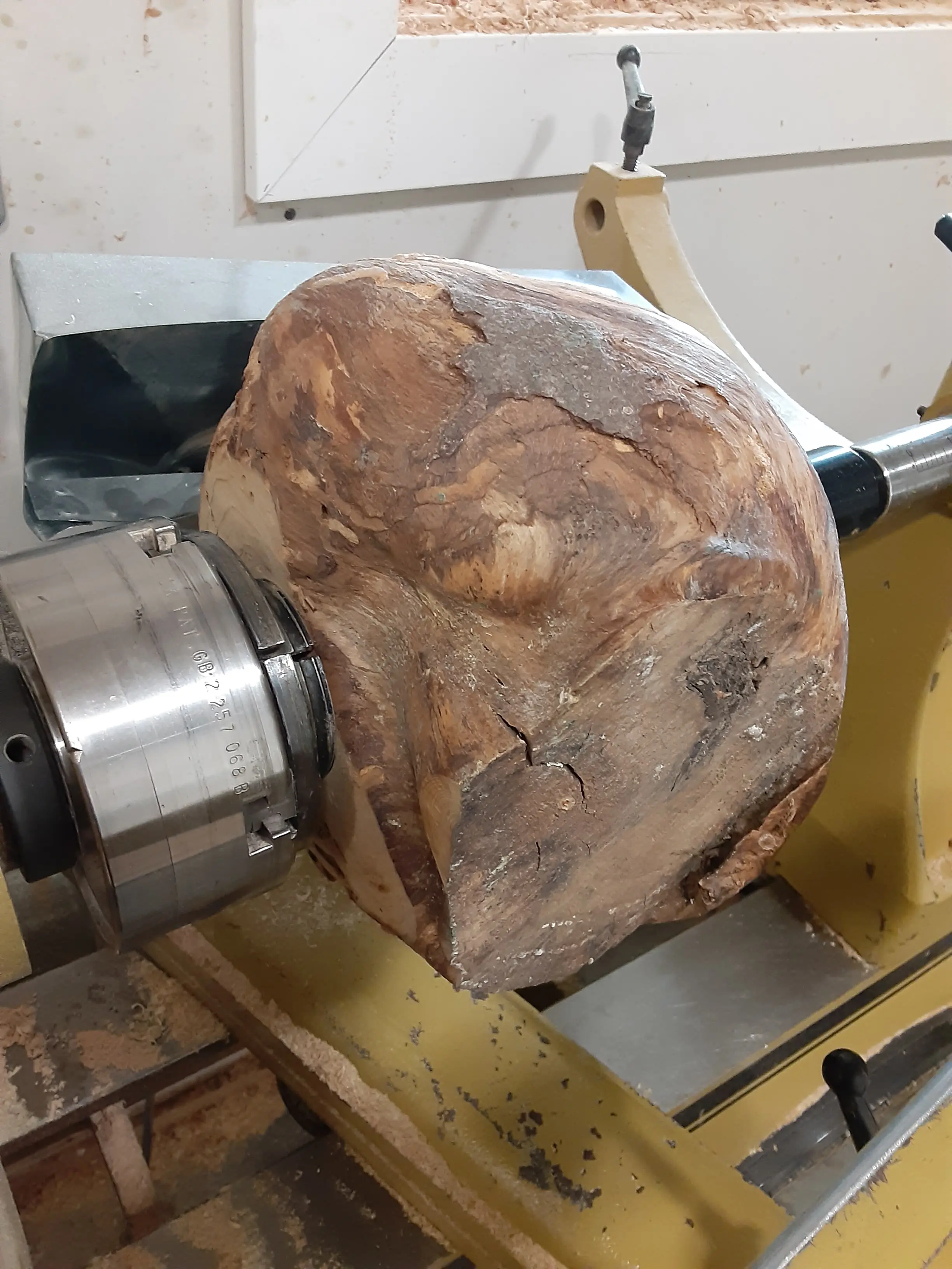 Turned Vessels — Burl Series — detail