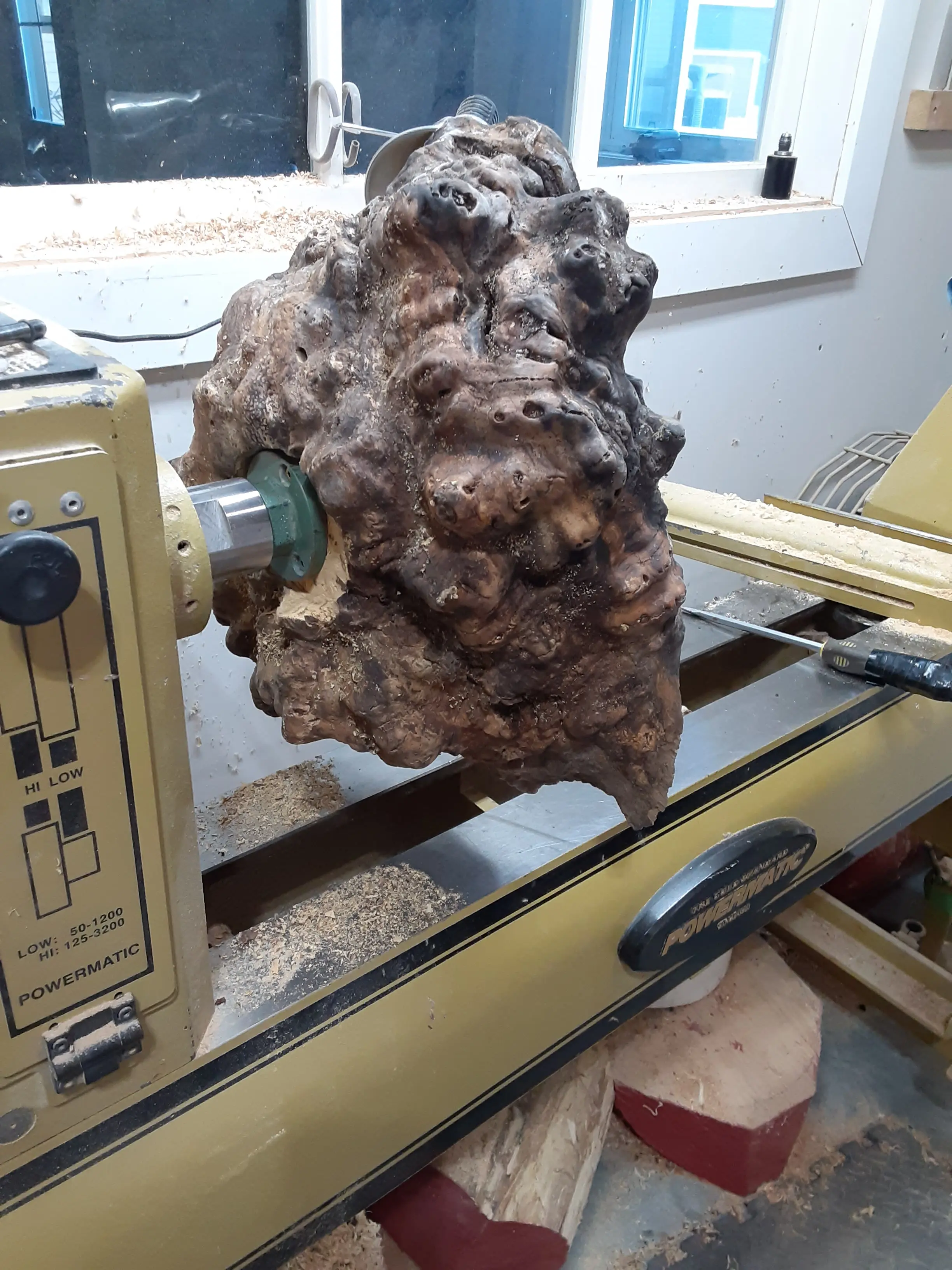 Turned Vessels — Burl Series — detail